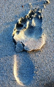 Foot Print in the Sand